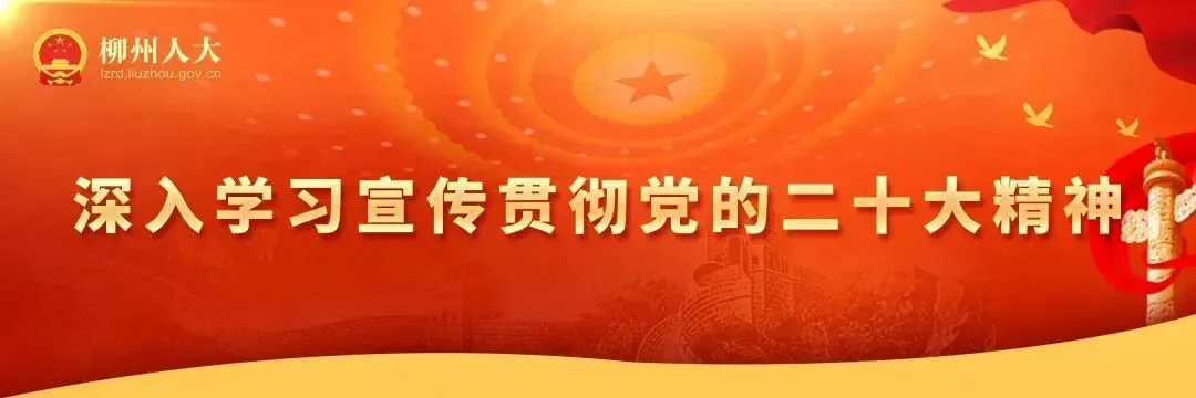 建设旅游驿站 激活景区流量——访市人大代表、侗族大歌自治区级非物质文化遗产代表性传承人吴春月