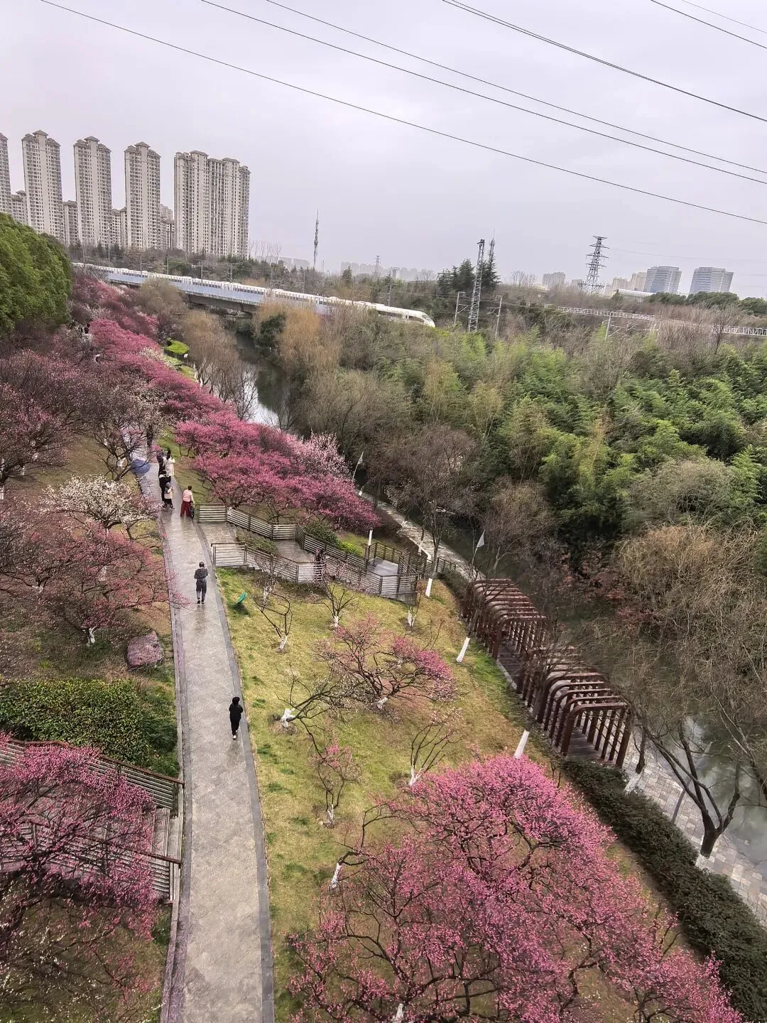 《开往春天的列车》带火了这个景点