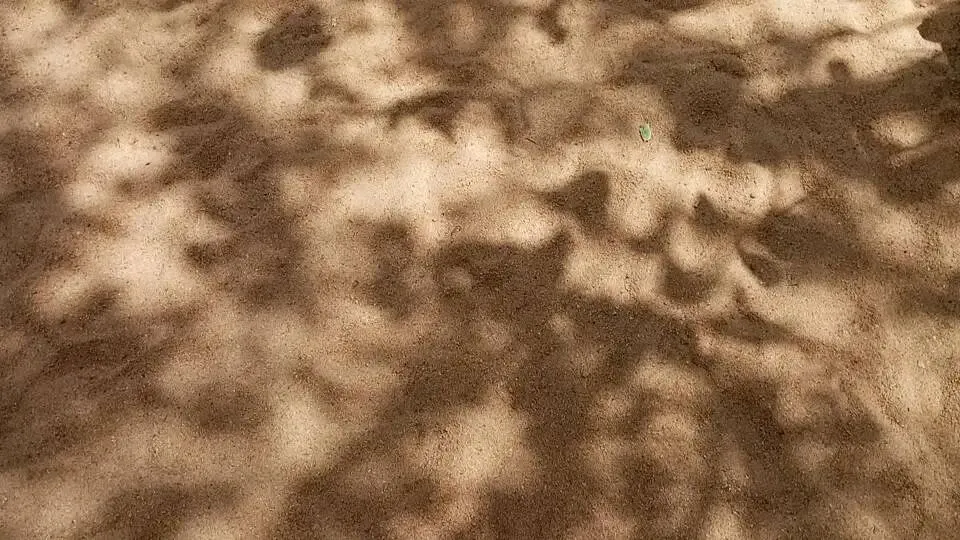 总是去旅游的人,不外乎这几种模样!