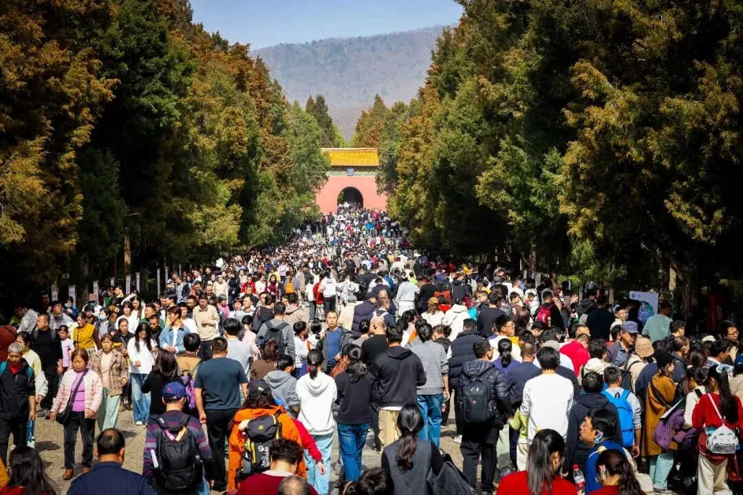 南京一景区全国第一