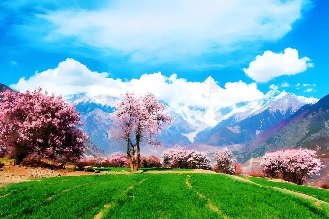 国内春天旅游最美的十个景区,你去过几个?