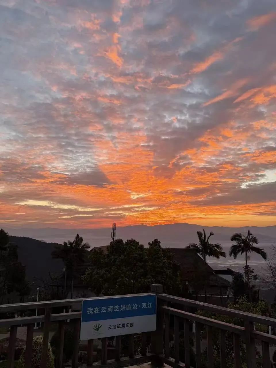 春节云南行:我的旅游记