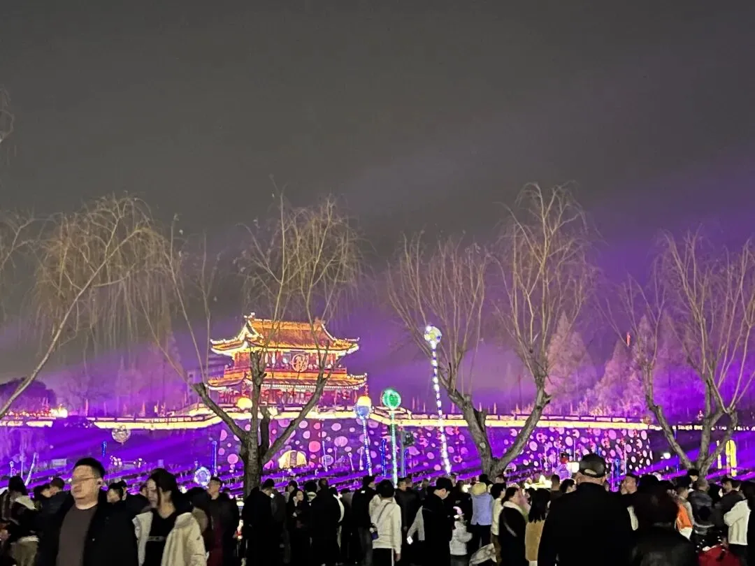 荆州区2026年春节假期文化和旅游市场情况综述