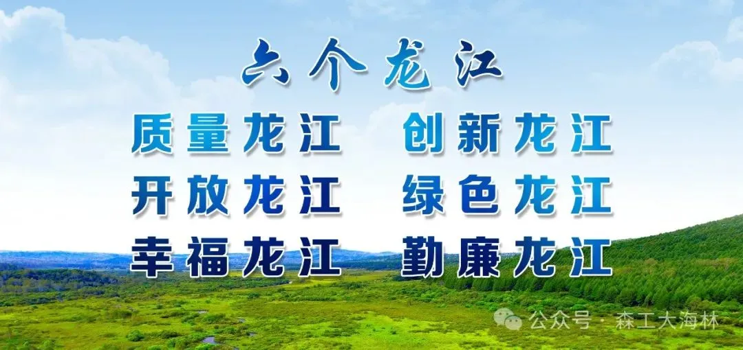 雪乡景区:春节黄金周旅游火热 年味浓郁活动纷呈