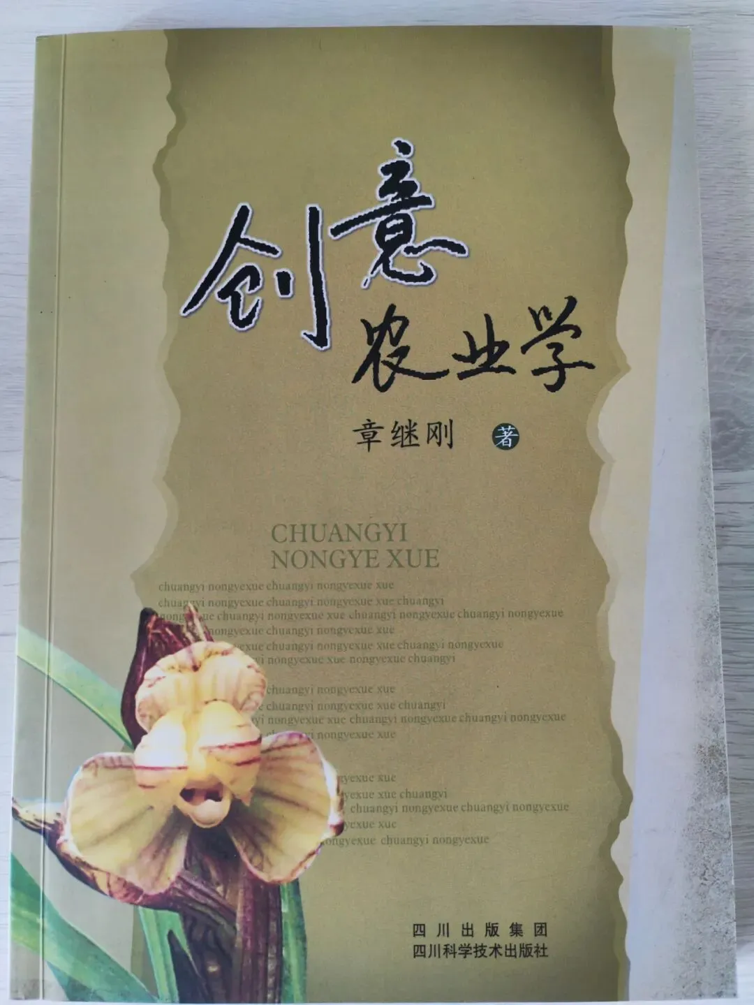 创意农业发布会丨成都乡村旅游有多“火”?