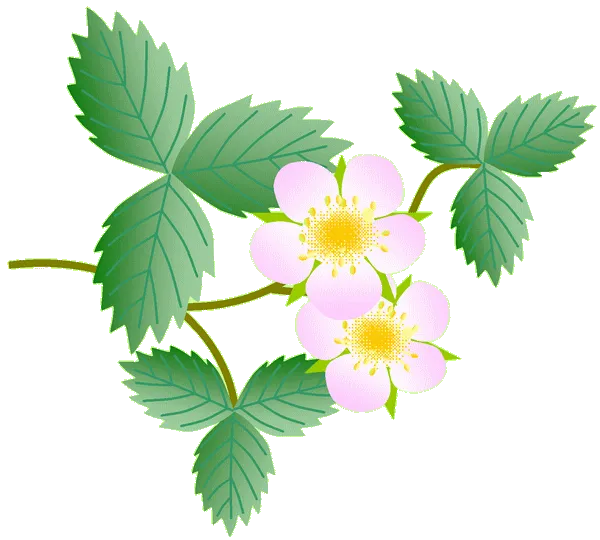 【诗词学堂】如何作山水旅游诗