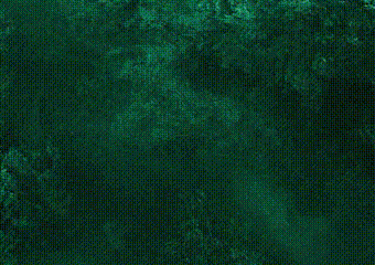 惠州这个网红景点我替你们踩雷了:除了9块9门票,剩下全是坑