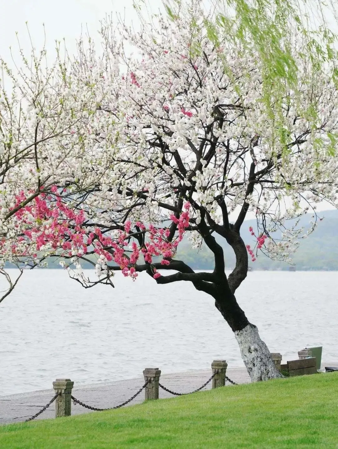 门票全免费!中国最良心的7个景区,风光绝美,70岁前争取每年去一个!