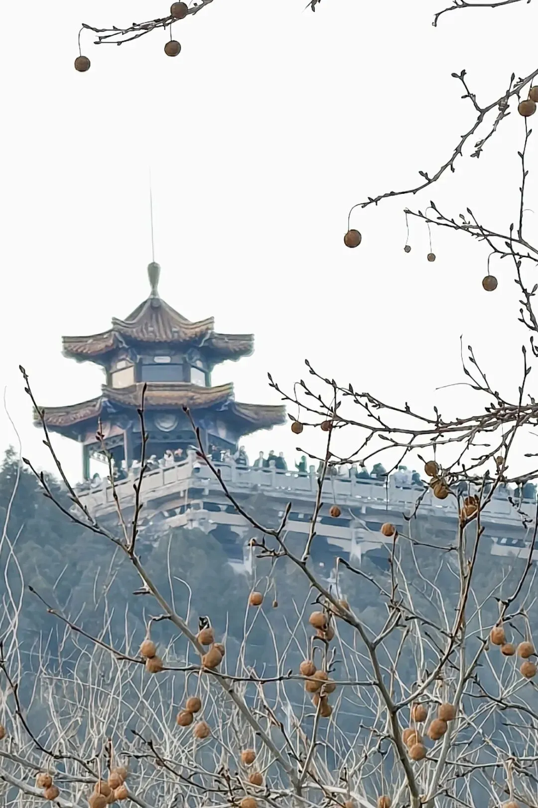 猜一猜,图中三图是徐州哪个景点?