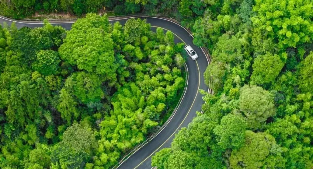 邂逅218最美旅游公路(散文)