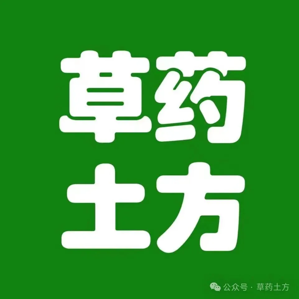 出差旅游水土不服拉肚子?行李箱里常备这几样,轻松泡出“安肠定方水”