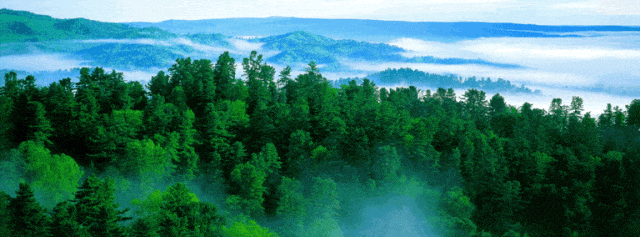 汤旺河:林海奇石景区邀你玩雪到三月