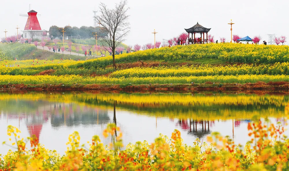 2026最美油菜花海汉中旅游文化节志愿者招募