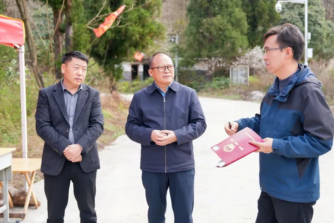 【盘州发布】陈石调研督导旅游闲置资产、春耕备耕、森林防火等工作