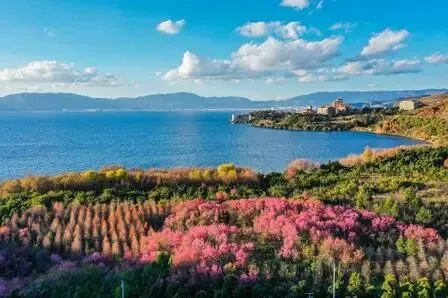 抚仙湖旅游攻略