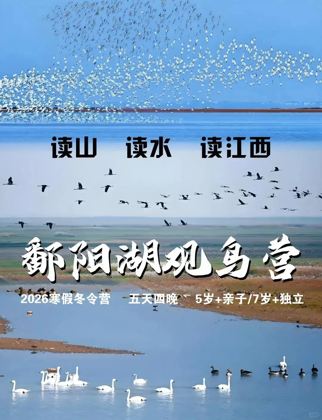 庐山十佳旅游公司专业筛选TOP5综合评分,真实用户评价,商务人士指南实测必备