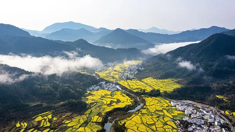 3月份旅游赏花,你选择哪里?