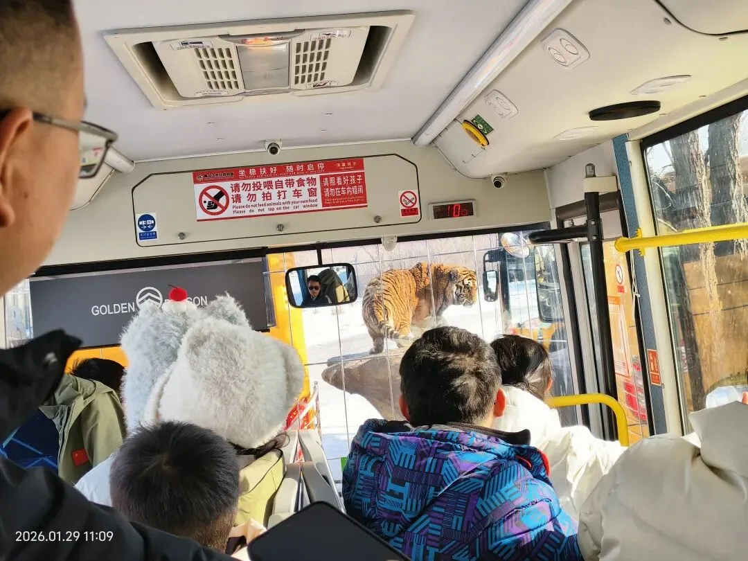 哈尔滨旅游趣事四(景点)