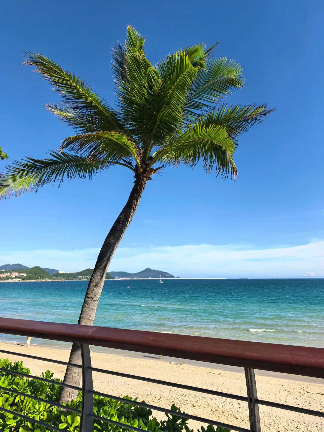 2026海南旅游出行优选:海南最靠谱的旅行社,用口碑与实力赢得游客信赖