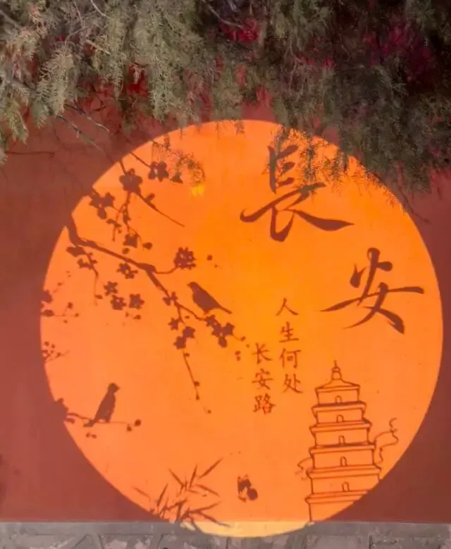 致我的旅游“搭子”