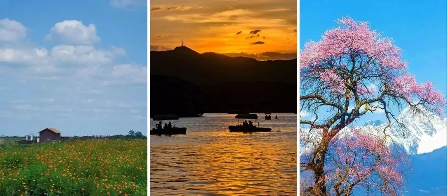 最适合2-3月旅游的7个地方,花最少的钱,看最早的春光!