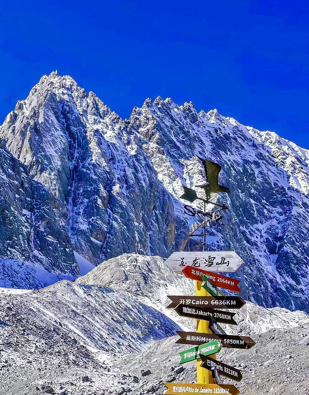 2026年云南玉龙雪山旅游攻略TOP3揭秘,哪家才是最靠谱之