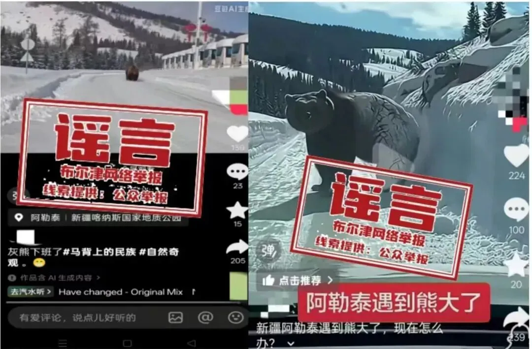 新疆喀纳斯景区出现棕熊?官方回应→