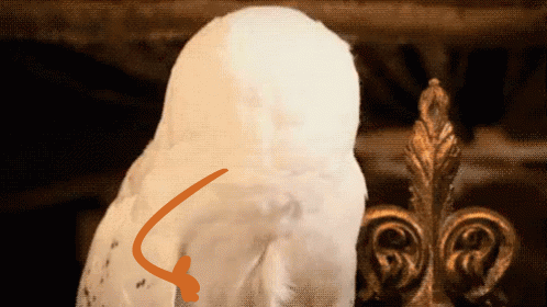 “五一”旅游避雷指南