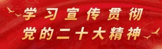 老城乡:多彩文化活动迎新春 乡村旅游实现“开门稳”