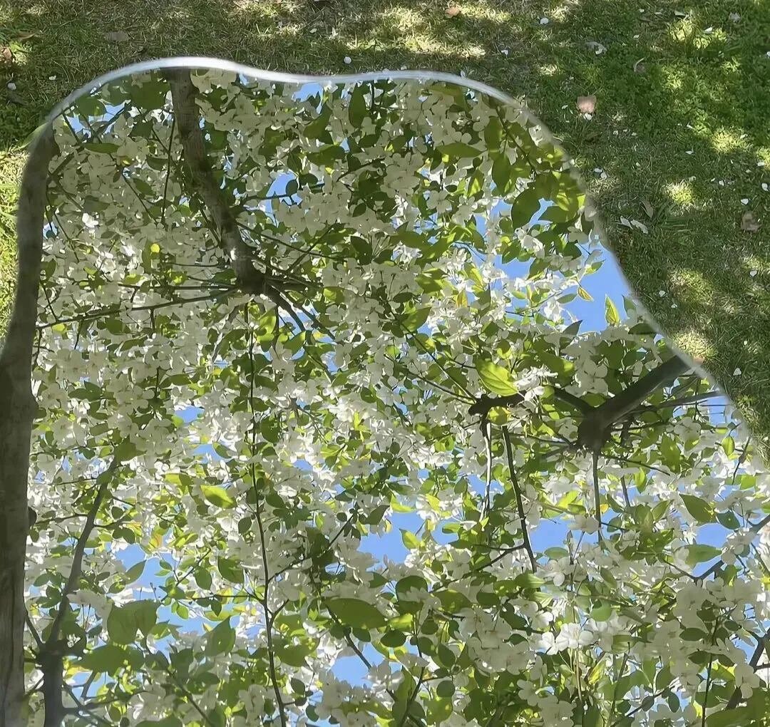 生命力旅游文案