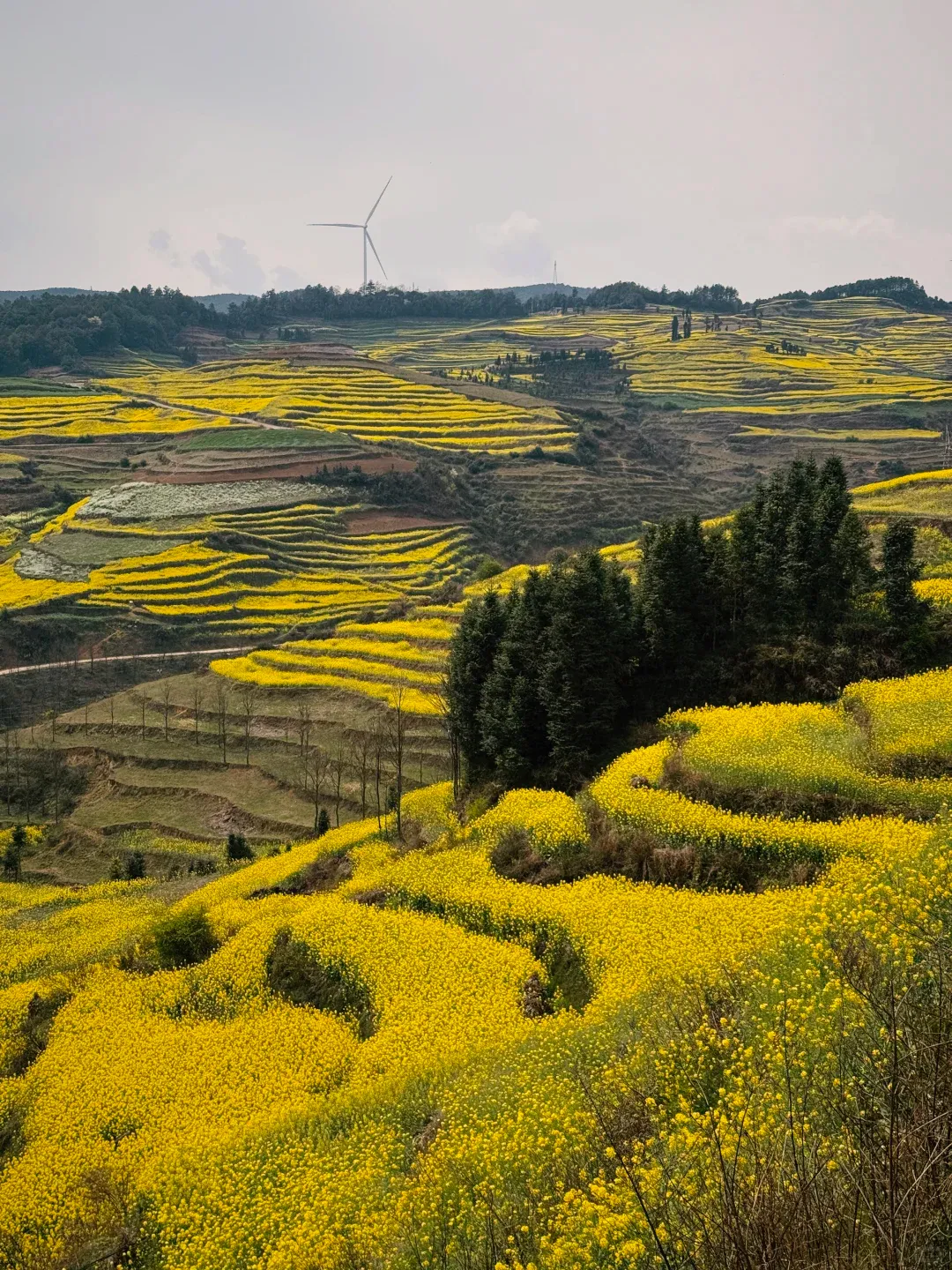 最适合2-3月旅游的4个地方,花最少的钱,看最美的风景!