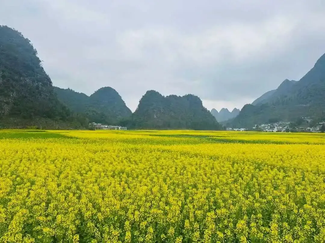 【国内旅游】2026 年 3 月国内旅游精选推荐