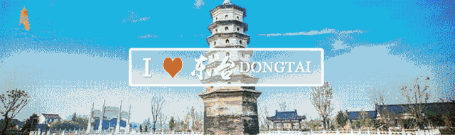 【东台西溪旅游文化景区】实绩亮眼 不负期待