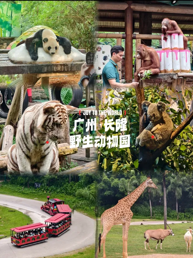 带娃旅行优选!国内 9 个亲子友好景区,设施完善超贴心