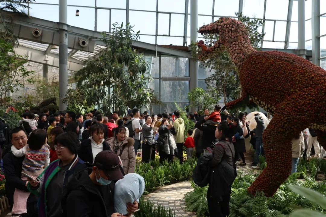 【假日文旅】人气口碑双丰收 沈阳旅游集团2026春节假期文旅答卷亮眼收官