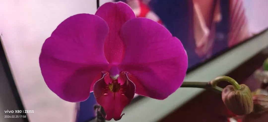 8000多亿春节旅游账单的黄金密码