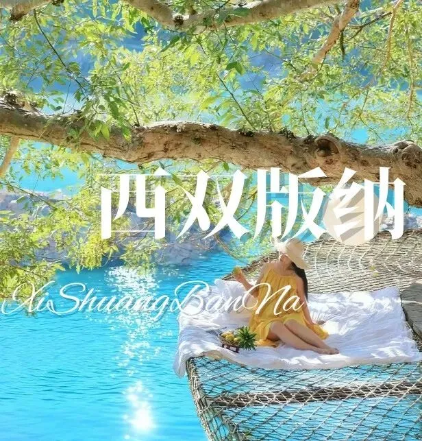 西双版纳旅游别盲冲!!本人踩坑后回来整理这份超全攻略~轻松带你玩转不踩雷~