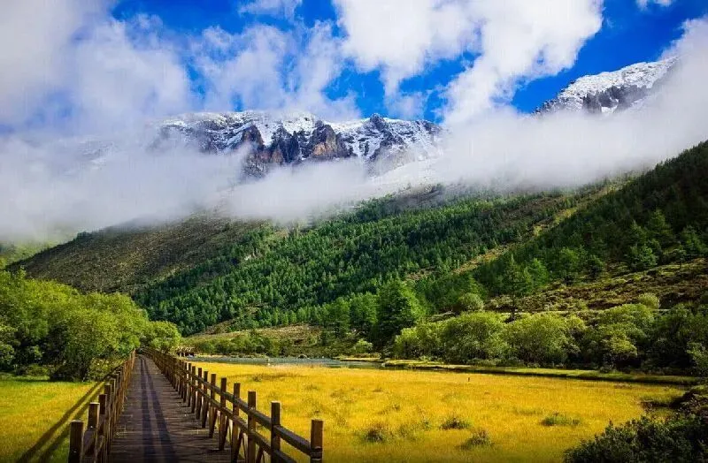 景区门票的坍塌其实是一场迟到的公共性复归