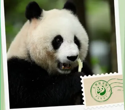 成都旅游 | 一生一定要去一次成都