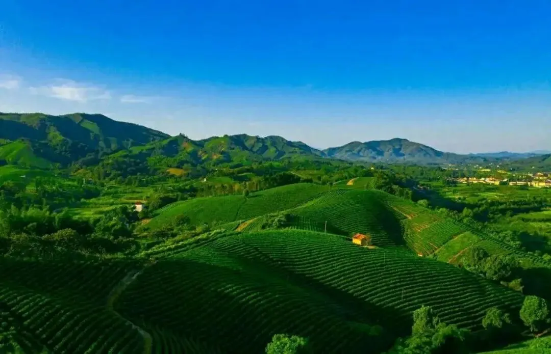 中国最美的18个景点,你去过哪些?