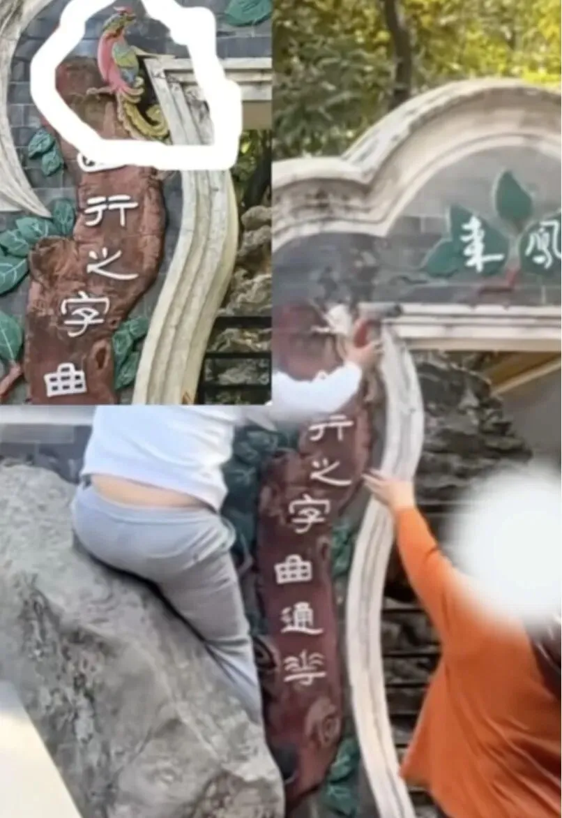 佛山顺德清晖园景区,灰塑构件被人拿下,官方通报