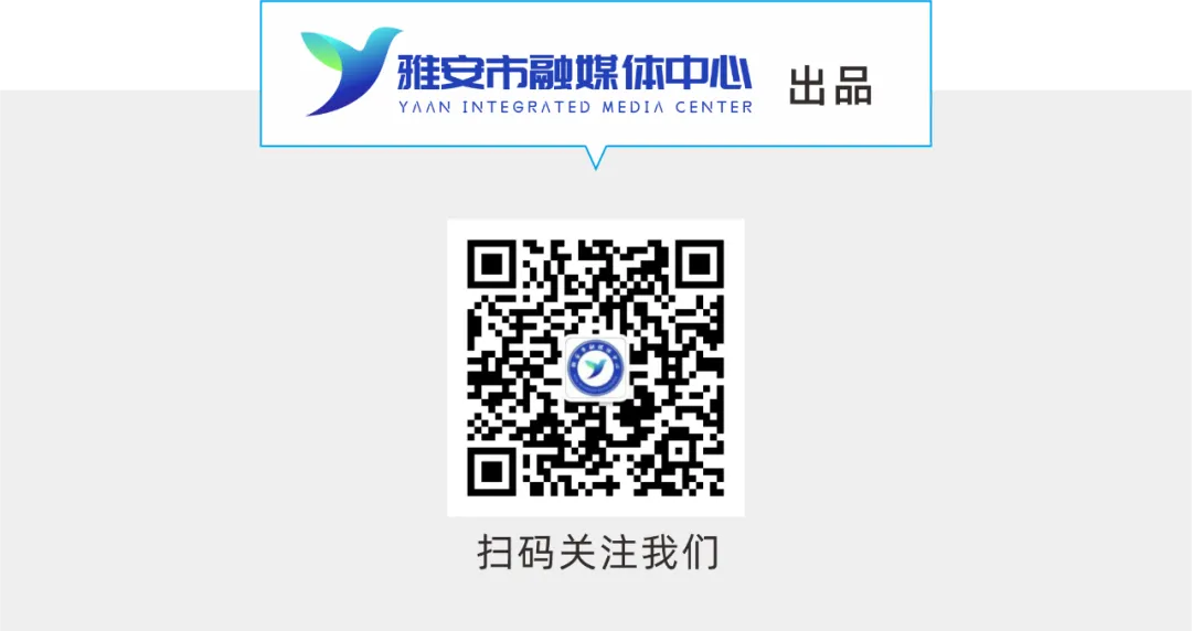 廖文彬彭映梅率队到文化和旅游厅座谈交流