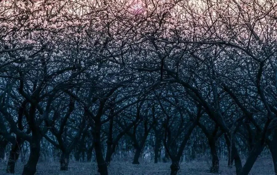 四川与云南交界有个县,出了两个世界级景点,风景绝美不输瑞士