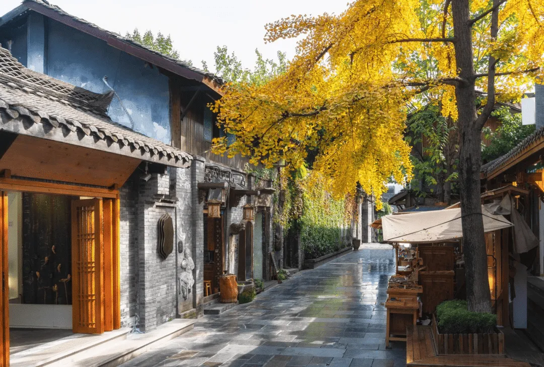 成都旅游计划:5天4晚深度游攻略,预算3000-5000元全解析