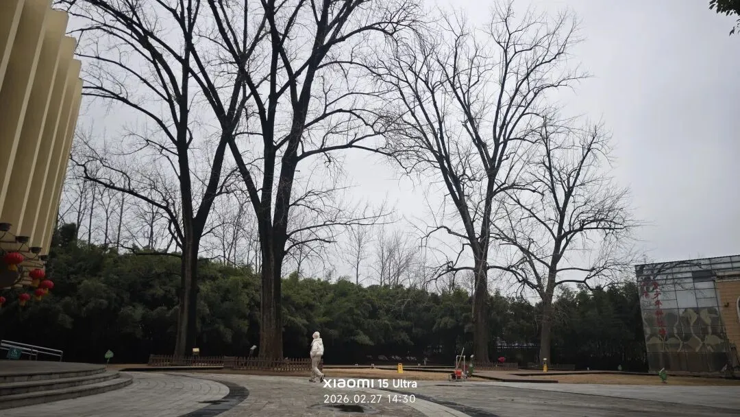 到泗阳转转,看了两个景区,有一个有问题,还是不小的问题!