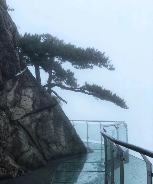 岳西县十大必去旅游景点,来安庆市一日游首选这里!