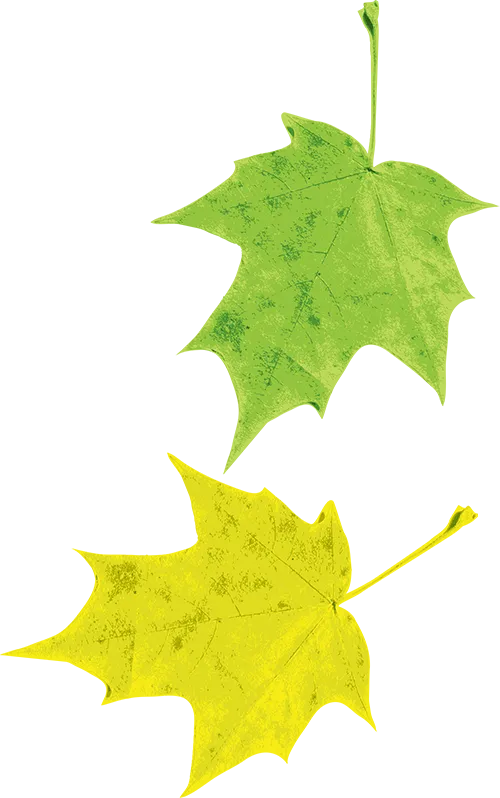 多景点3月免票!上海城投原董事长被双开!包钢爆炸10死84伤详情!沪女骑手遭男顾客骚扰!死亡证明全国统一!