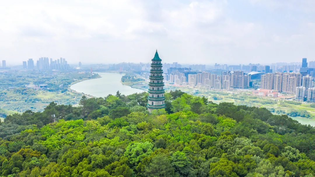 大批俄罗斯人“霸占”广西南宁街头,打着旅游的幌子,不爬青秀山不逛博物馆,到底被啥迷住了?