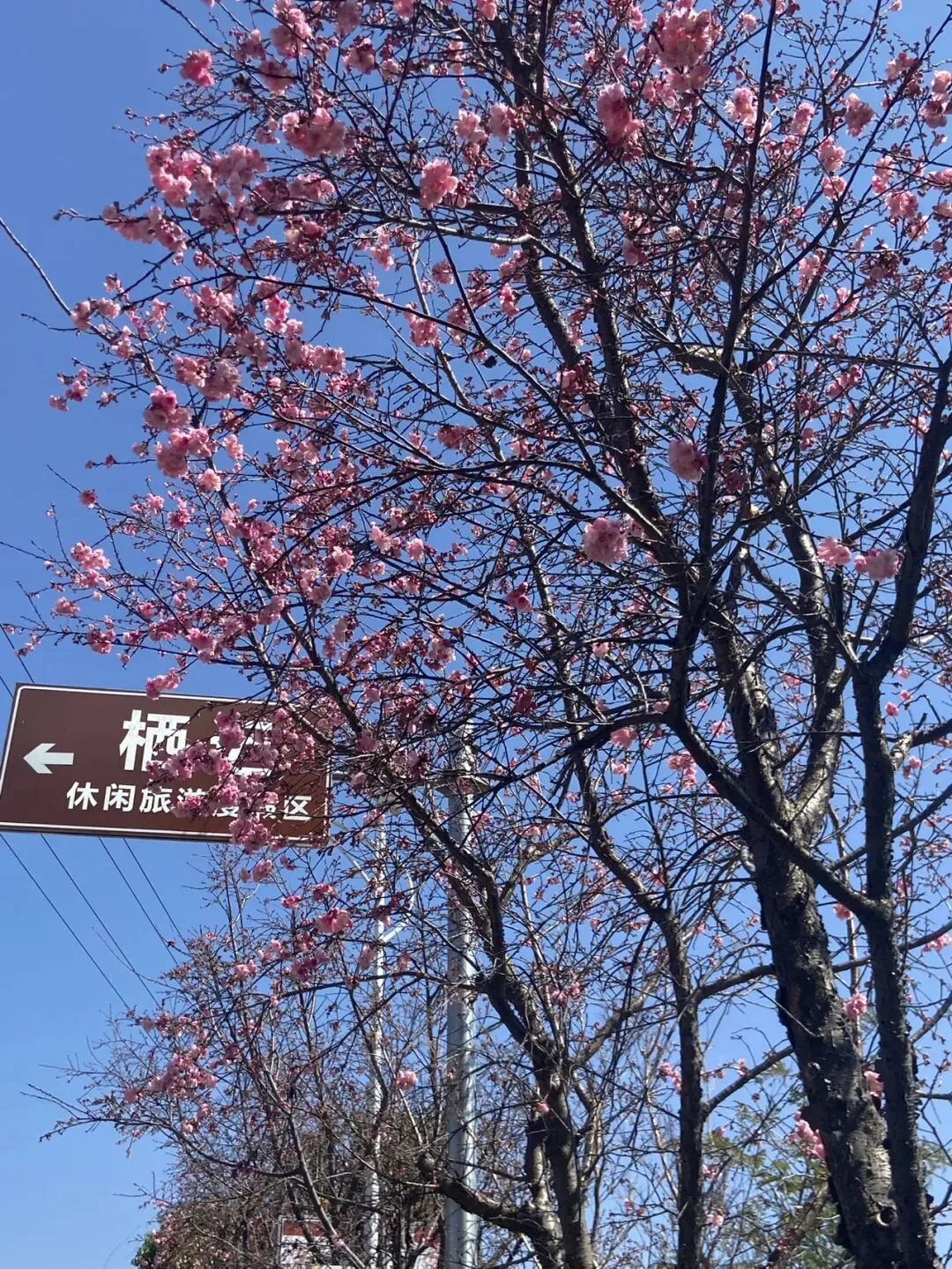 迤沙拉村~你真的是4A景区吗?