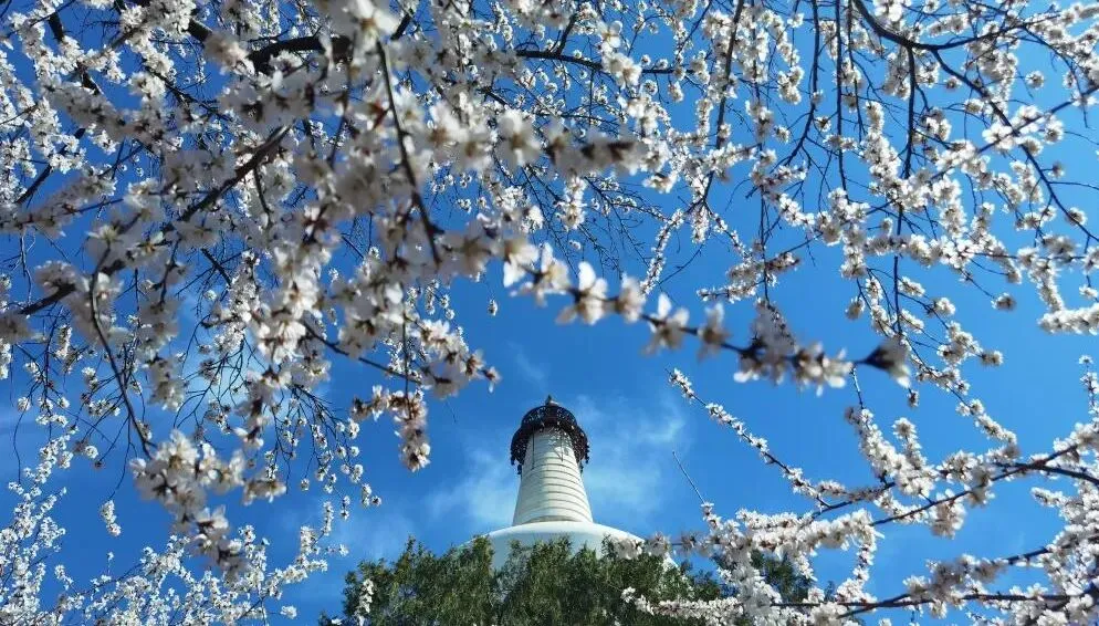 中原两大5A景区宣布免门票!最长连免两月,保姆级攻略速码!